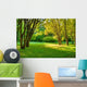 Morning Forest Wall Mural