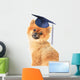 Pomeranian Wall Decal