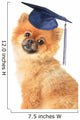 Pomeranian Wall Decal