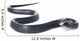 Juvenile Indigo Snake Wall Decal