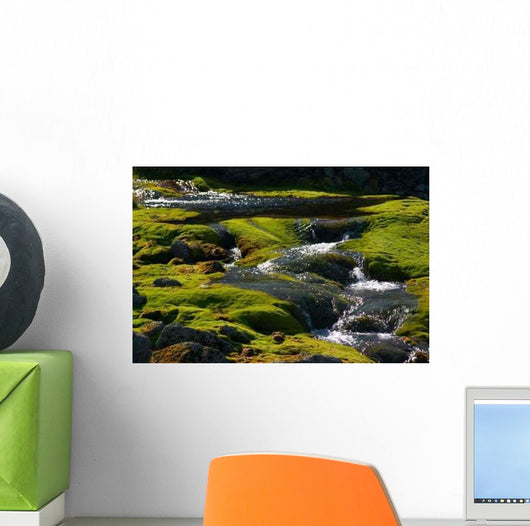 Spring Water Wall Mural