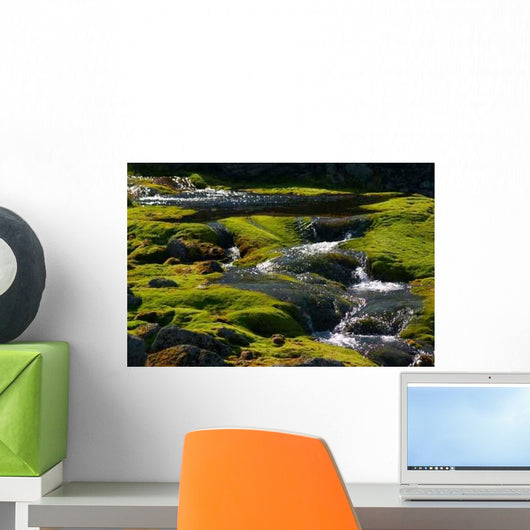 Spring Water Wall Mural