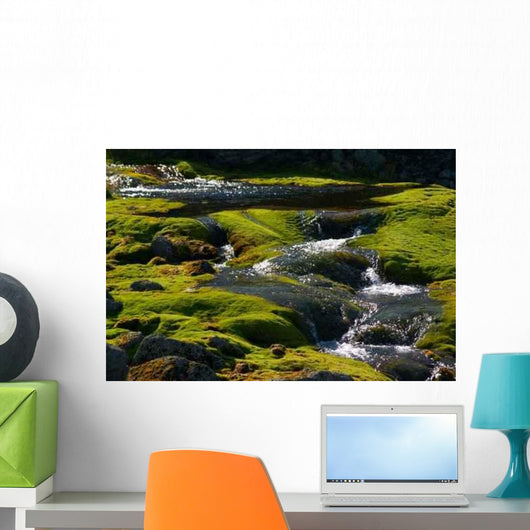 Spring Water Wall Mural