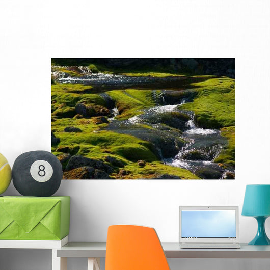 Spring Water Wall Mural