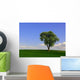 Birnbaum Wall Mural
