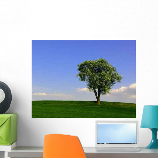 Birnbaum Wall Mural