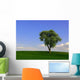 Birnbaum Wall Mural
