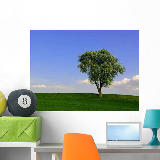 Birnbaum Wall Mural