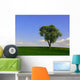 Birnbaum Wall Mural