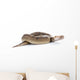 Champagne Ball Python Wall Mural