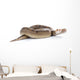Champagne Ball Python Wall Mural