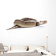 Champagne Ball Python Wall Mural