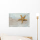 Seestern Wall Mural