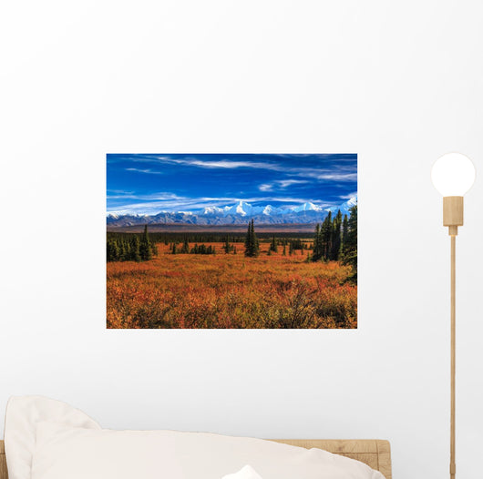 Wonder Lake Wall Decal