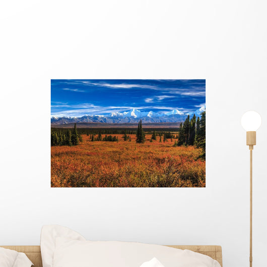 Wonder Lake Wall Decal