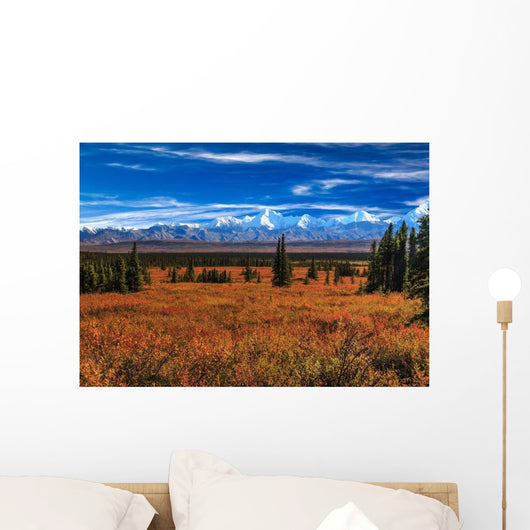 Wonder Lake Wall Decal
