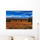 Wonder Lake Wall Decal