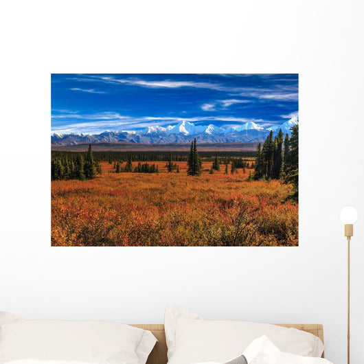 Wonder Lake Wall Decal