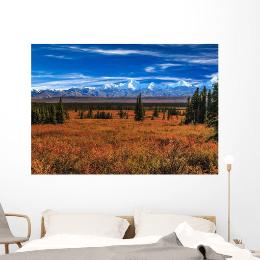Wonder Lake Wall Decal