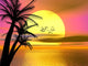 Colorful Tropical Sunset Sunrise Wall Mural