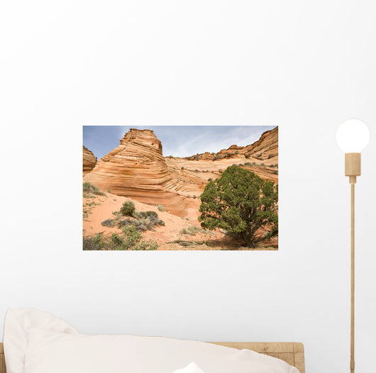 Sandstone Swirl Wall Mural