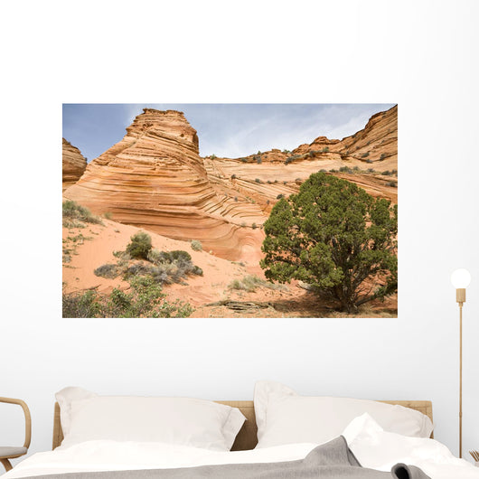 Sandstone Swirl Wall Mural