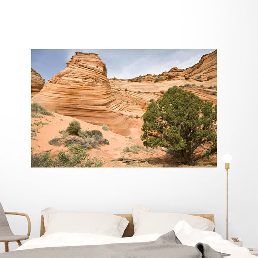 Sandstone Swirl Wall Mural