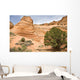 Sandstone Swirl Wall Mural