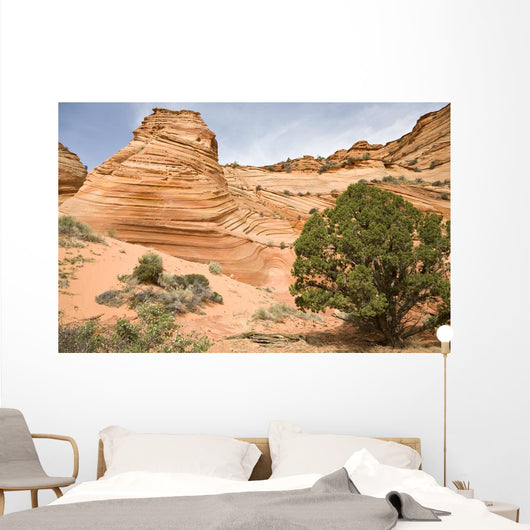 Sandstone Swirl Wall Mural