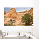 Sandstone Swirl Wall Mural