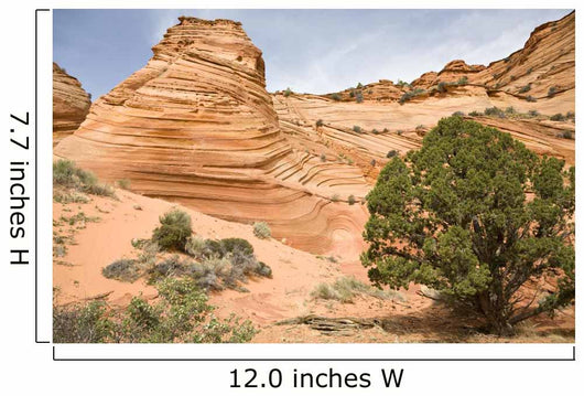 Sandstone Swirl Wall Mural