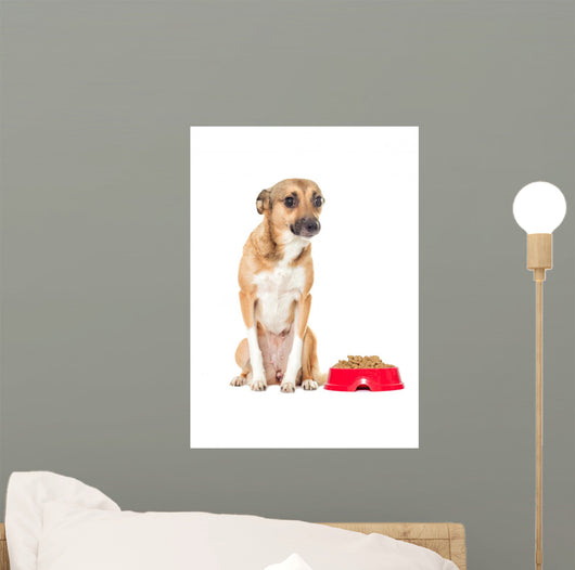 Puppy Looking Wall Mural
