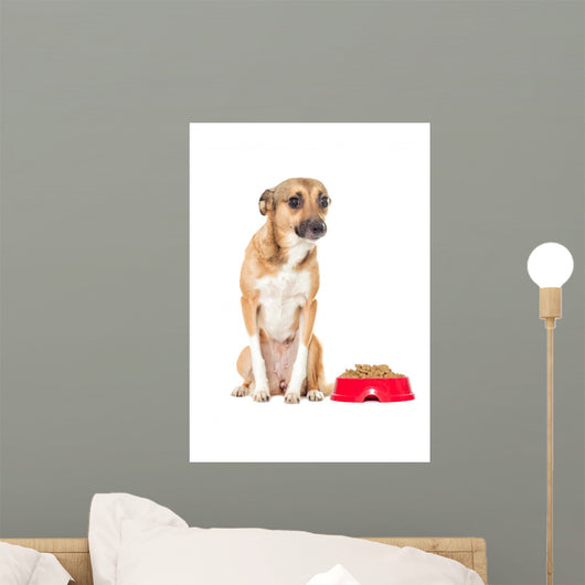 Puppy Looking Wall Mural