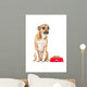 Puppy Looking Wall Mural