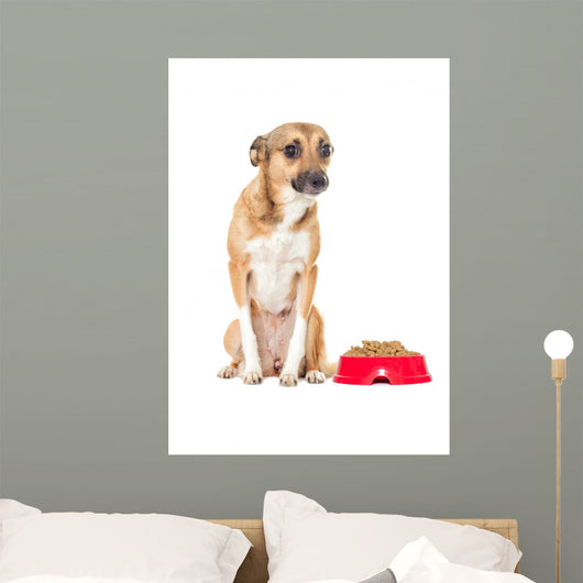 Puppy Looking Wall Mural