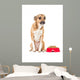 Puppy Looking Wall Mural
