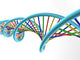 Dna Strand Wall Decal