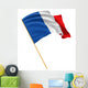 3D French Flag with Wall Mural