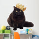 black cat wearing golden crown isolated Wall Decal