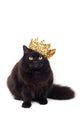 black cat wearing golden crown isolated Wall Decal