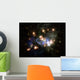 Space Wall Mural