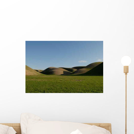 Desert Spring Wall Mural