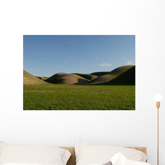 Desert Spring Wall Mural