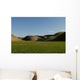 Desert Spring Wall Mural