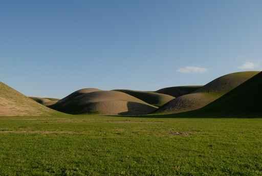 Desert Spring Wall Mural
