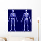 X-ray Skeleton Blue Wall Mural