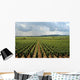Vinyard France Wall Mural