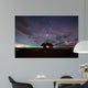 Milky Way Galaxy Star Wall Mural