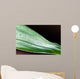 Bamboo - leaves with water drops Wall Mural