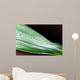 Bamboo - leaves with water drops Wall Mural